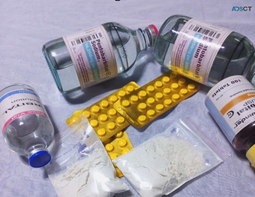 NEMBUTAL PENTOBARBITAL SODIUM FOR SALE 