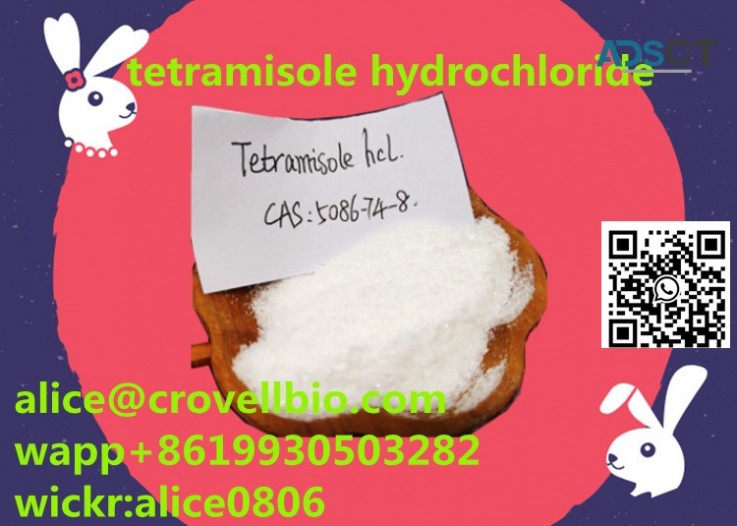 sale tetramisole hcl with good price